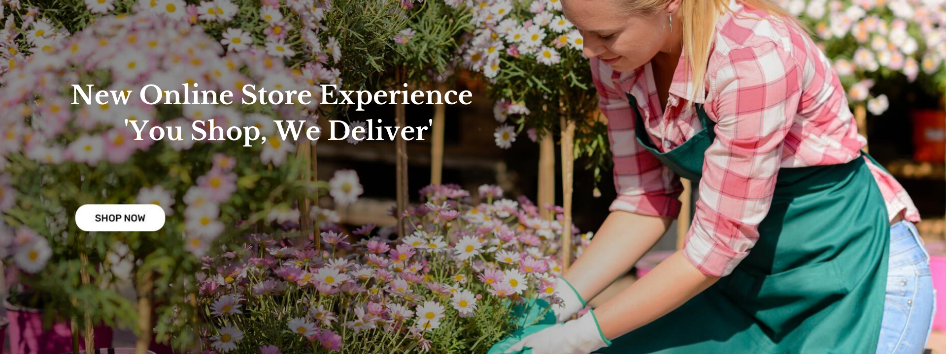 New Online Store Experience 'You Shop, We Deliver' Free Delivery On All Orders