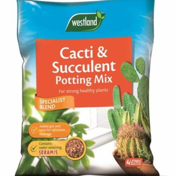 cacti & succulent potting mix