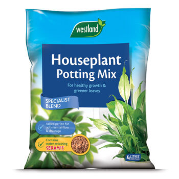houseplant potting mix