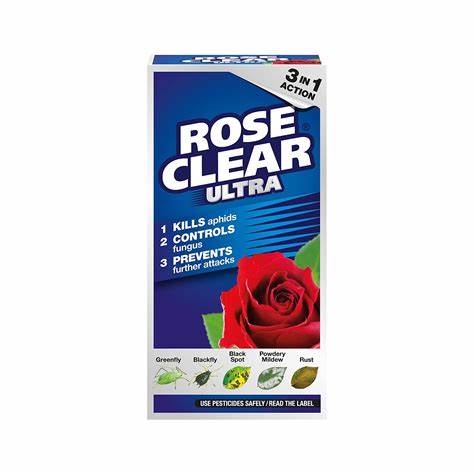 rose clear